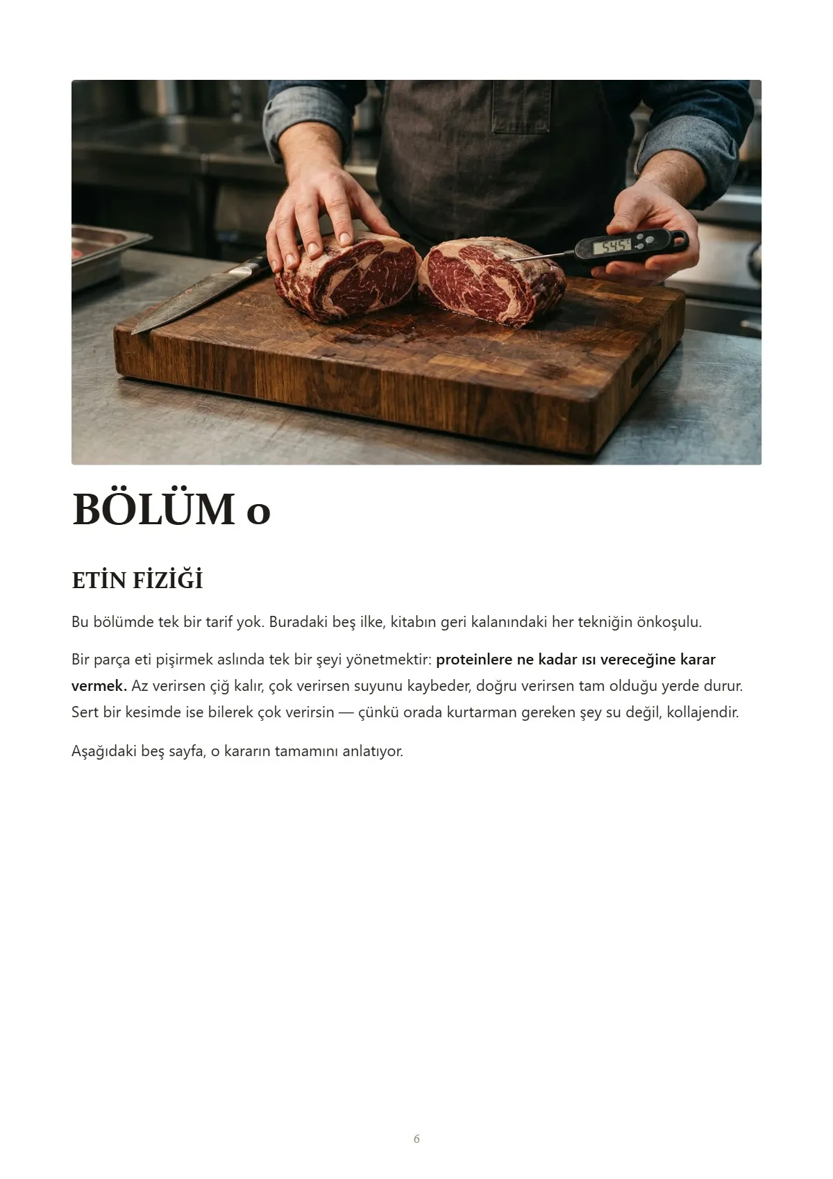 Tam Kapsamlı Et Kitabı, örnek sayfa: Bölüm 0 · Etin fiziği